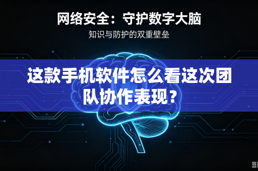 这款手机软件怎么看这次团队协作表现？
