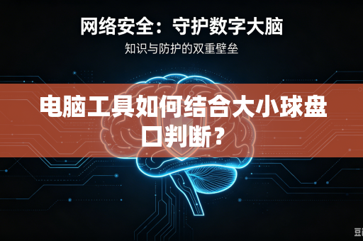 电脑工具如何结合大小球盘口判断？