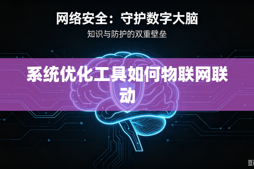 系统优化工具如何物联网联动
