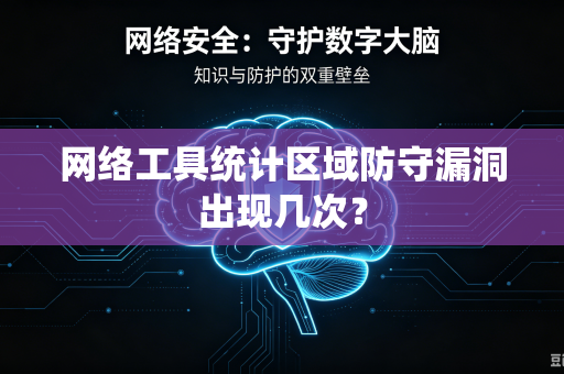 网络工具统计区域防守漏洞出现几次？