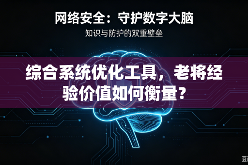 综合系统优化工具，老将经验价值如何衡量？