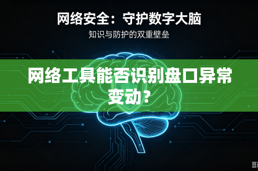网络工具能否识别盘口异常变动？