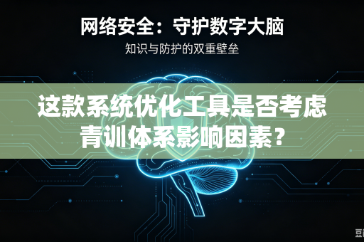 这款系统优化工具是否考虑青训体系影响因素？