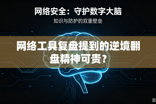 网络工具复盘提到的逆境翻盘精神可贵？