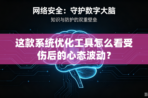 这款系统优化工具怎么看受伤后的心态波动？