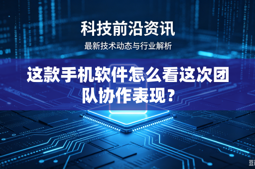 这款手机软件怎么看这次团队协作表现？