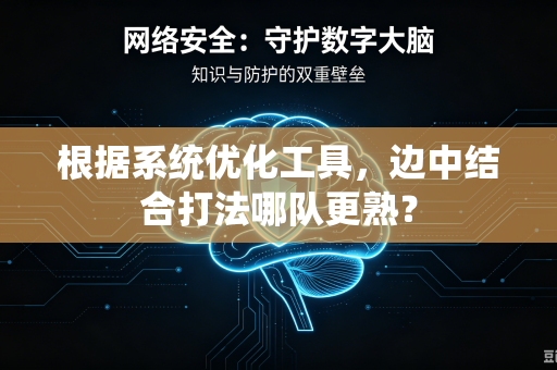 根据系统优化工具，边中结合打法哪队更熟？