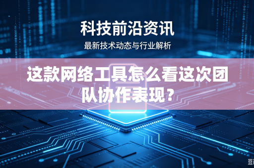 这款网络工具怎么看这次团队协作表现？