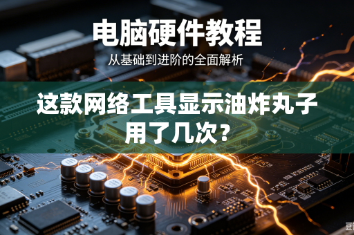 这款网络工具显示油炸丸子用了几次？