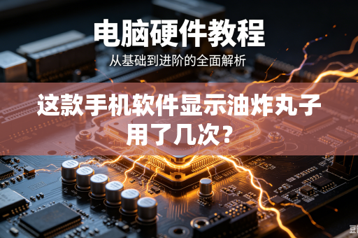 这款手机软件显示油炸丸子用了几次？