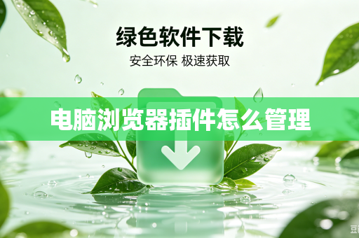 电脑浏览器插件怎么管理