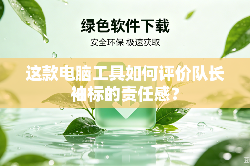 这款电脑工具如何评价队长袖标的责任感？