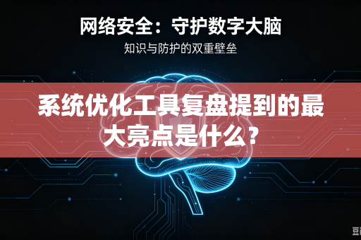 系统优化工具复盘提到的最大亮点是什么？