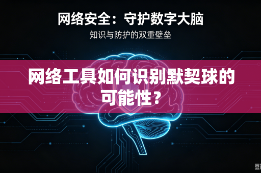 网络工具如何识别默契球的可能性？