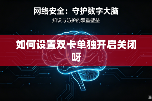 如何设置双卡单独开启关闭呀