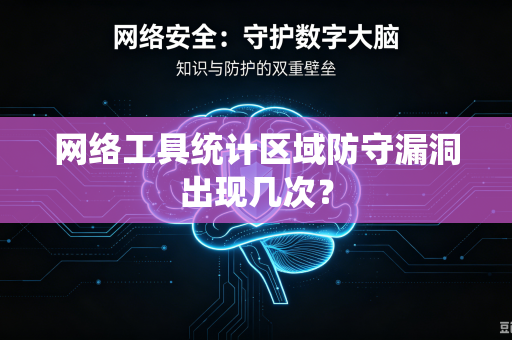 网络工具统计区域防守漏洞出现几次？