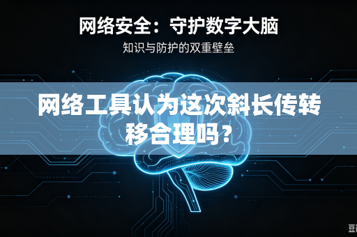 网络工具认为这次斜长传转移合理吗？