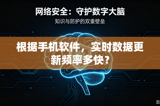 根据手机软件，实时数据更新频率多快？
