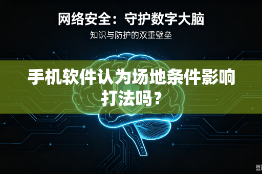 手机软件认为场地条件影响打法吗？