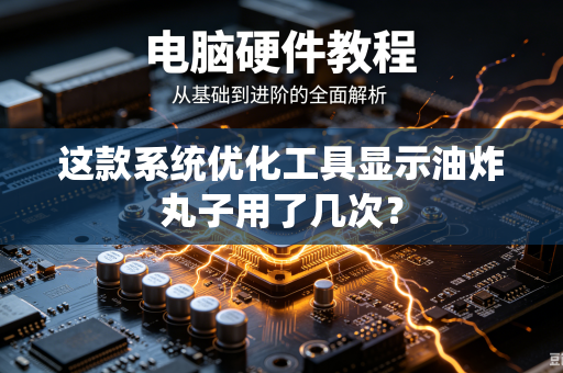 这款系统优化工具显示油炸丸子用了几次？