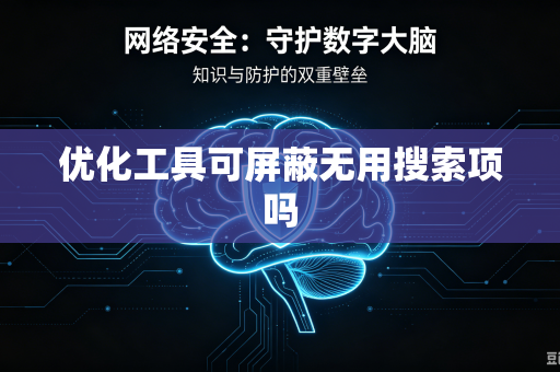 优化工具可屏蔽无用搜索项吗