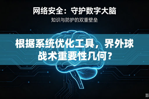 根据系统优化工具，界外球战术重要性几何？