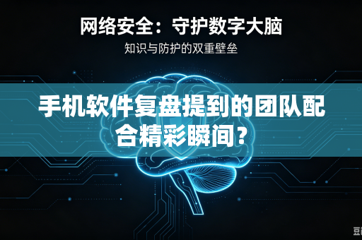 手机软件复盘提到的团队配合精彩瞬间？