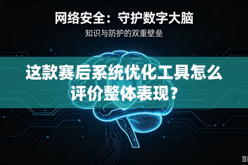 这款赛后系统优化工具怎么评价整体表现？