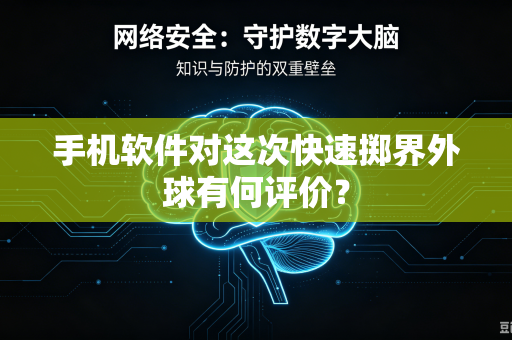 手机软件对这次快速掷界外球有何评价？