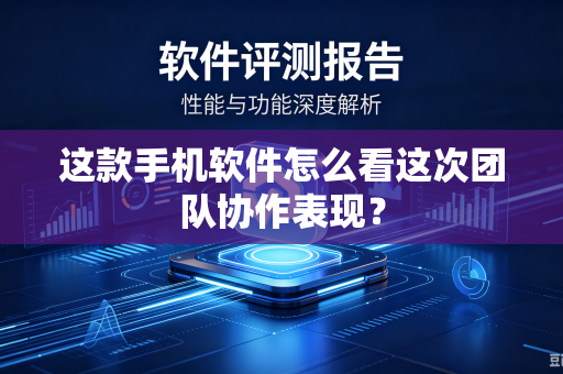 这款手机软件怎么看这次团队协作表现？