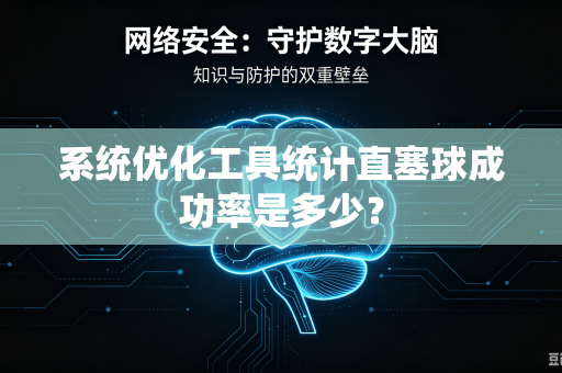 系统优化工具统计直塞球成功率是多少？