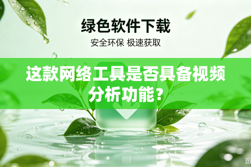 这款网络工具是否具备视频分析功能？