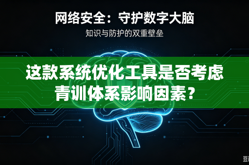 这款系统优化工具是否考虑青训体系影响因素？
