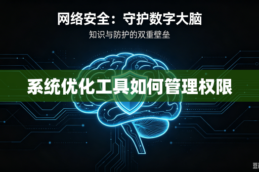 系统优化工具如何管理权限