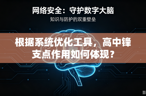 根据系统优化工具，高中锋支点作用如何体现？