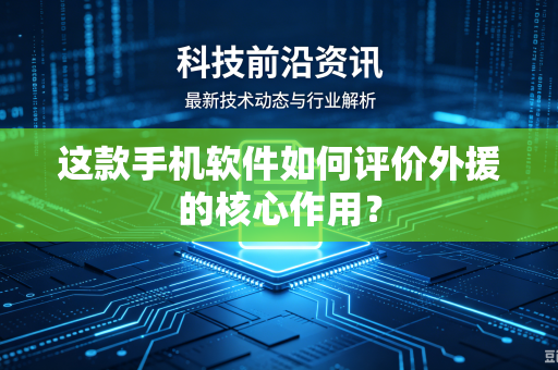 这款手机软件如何评价外援的核心作用？