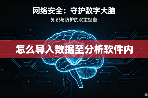 怎么导入数据至分析软件内