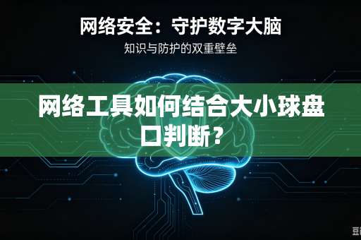 网络工具如何结合大小球盘口判断？
