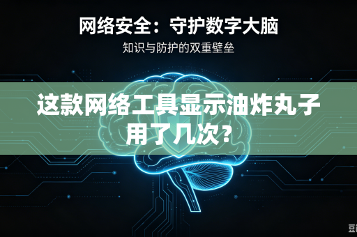 这款网络工具显示油炸丸子用了几次？