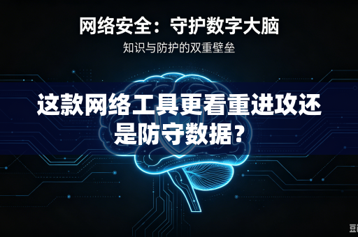 这款网络工具更看重进攻还是防守数据？
