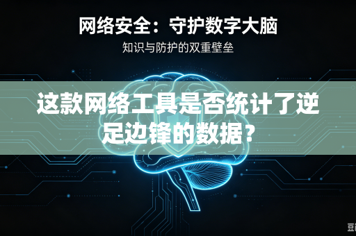 这款网络工具是否统计了逆足边锋的数据？