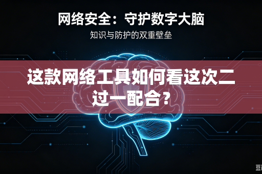 这款网络工具如何看这次二过一配合？