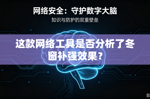 这款网络工具是否分析了冬窗补强效果？