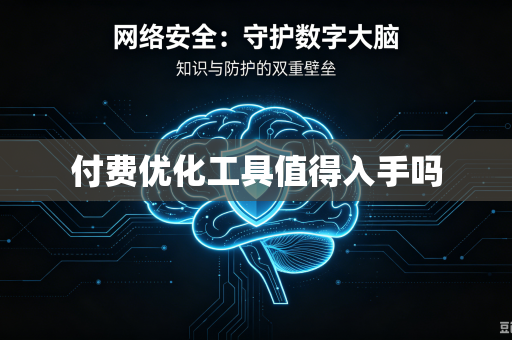 付费优化工具值得入手吗