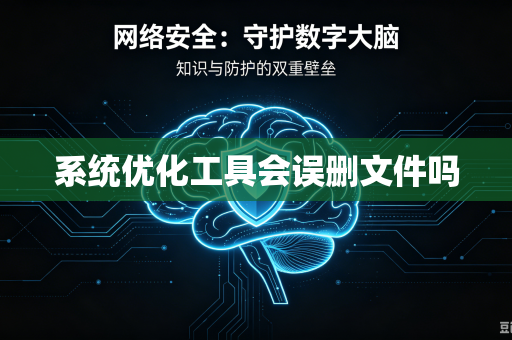 系统优化工具会误删文件吗