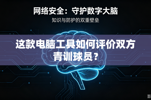 这款电脑工具如何评价双方青训球员？