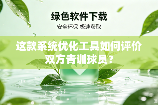这款系统优化工具如何评价双方青训球员？