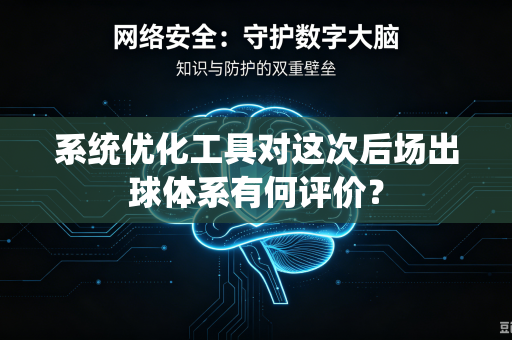 系统优化工具对这次后场出球体系有何评价？