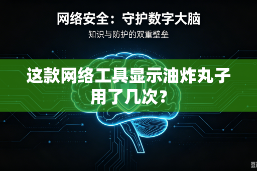 这款网络工具显示油炸丸子用了几次？