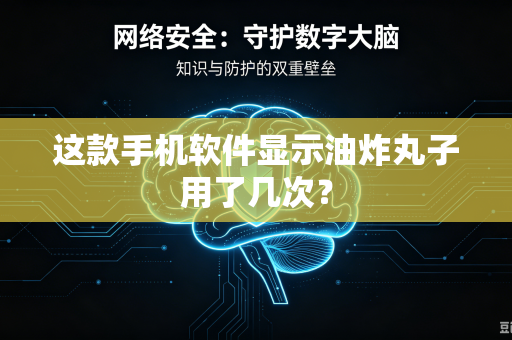 这款手机软件显示油炸丸子用了几次？